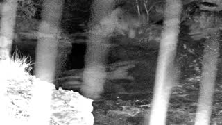 Still 2 from this detection