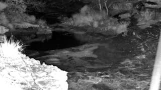 Still 2 from this detection