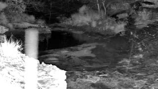 Still 2 from this detection