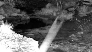 Still 1 from this detection