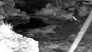 Still 3 from this detection
