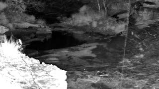 Still 2 from this detection