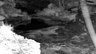 Still 3 from this detection