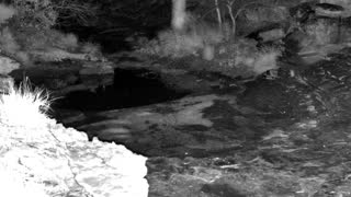 Still 1 from this detection
