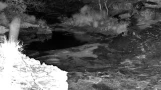 Still 2 from this detection