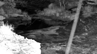 Still 2 from this detection