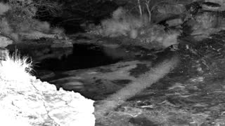 Still 1 from this detection