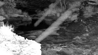 Still 1 from this detection