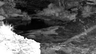 Still 2 from this detection