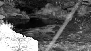 Still 1 from this detection