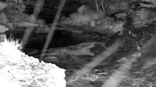 Still 3 from this detection