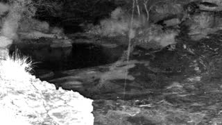Still 3 from this detection