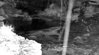 Still 1 from this detection