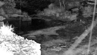Still 1 from this detection