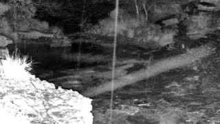 Still 2 from this detection