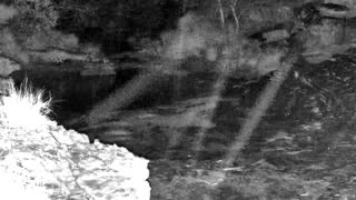Still 3 from this detection