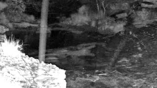 Still 3 from this detection