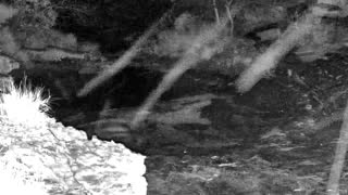 Still 2 from this detection