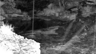 Still 3 from this detection