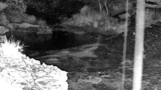 Still 1 from this detection