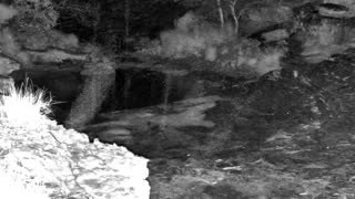 Still 3 from this detection