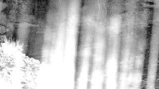 Still 1 from this detection