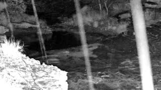 Still 1 from this detection