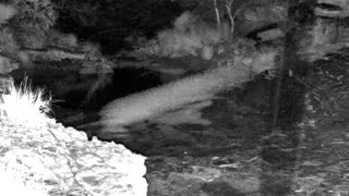 Still 3 from this detection