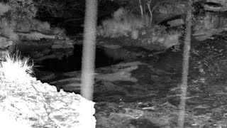 Still 3 from this detection