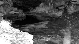 Still 2 from this detection
