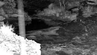 Still 3 from this detection
