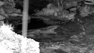 Still 3 from this detection