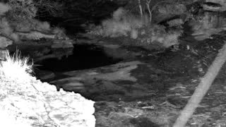 Still 2 from this detection
