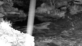 Still 1 from this detection