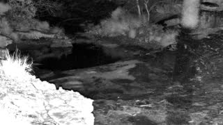 Still 2 from this detection