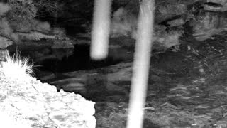 Still 1 from this detection