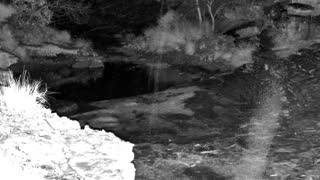 Still 2 from this detection