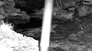 Still 2 from this detection