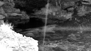 Still 2 from this detection