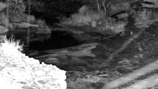 Still 2 from this detection