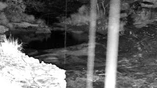 Still 2 from this detection