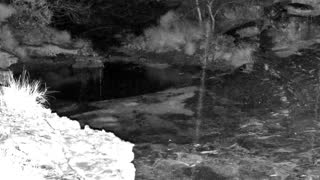 Still 2 from this detection