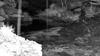 Still 1 from this detection