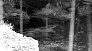 Still 2 from this detection
