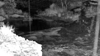 Still 3 from this detection