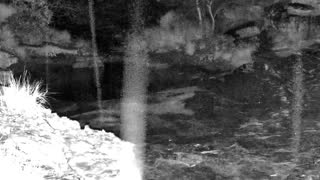 Still 2 from this detection