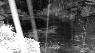 Still 1 from this detection