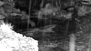 Still 2 from this detection