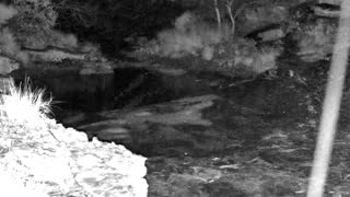 Still 3 from this detection