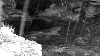 Still 2 from this detection